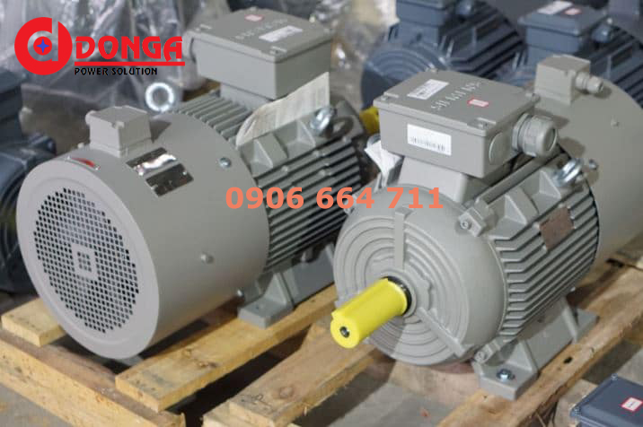 Động cơ điện - motor điện Simens