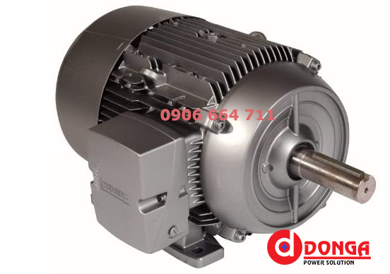Động Cơ Điện - Motor Điện Tại An Giang